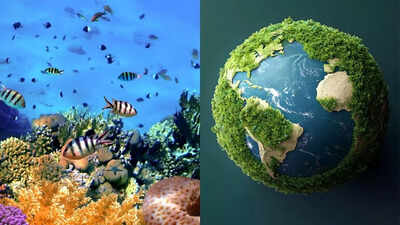 Earth39s first climate tipping point reached coral reefs now at risk of collapse.jpg