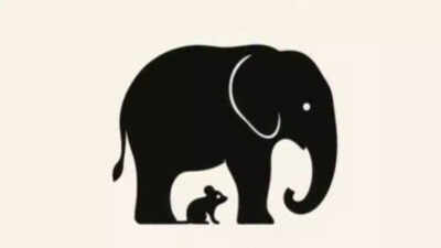 Elephant.jpg