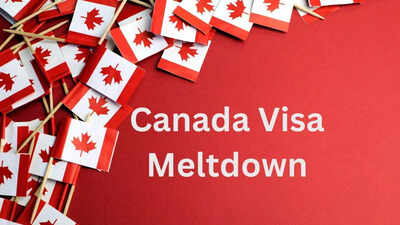 Explained why canada39s visa system is facing a meltdown.jpg