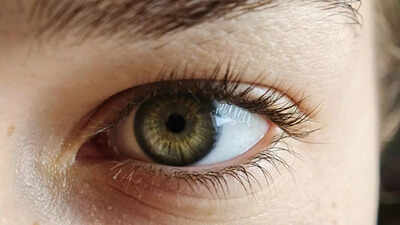 How to grow eyelashes naturally at home in 2 weeks.jpg