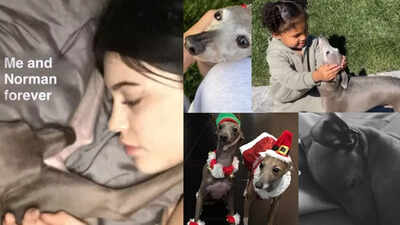 Kylie Jenner mourns her dog, Norman; ‘I had never loved anything so much’ | Kylie jenner and her dog 1.jpg