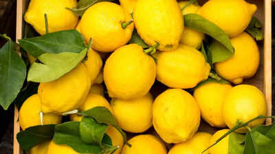 Lemon side effects what you need to know before eating too much.jpg