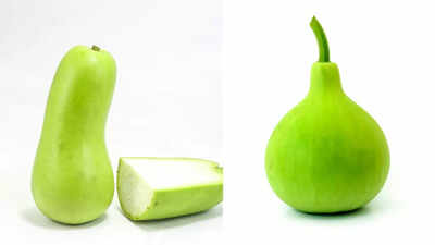 Long gourd vs round gourd comparing the health benefits and culinary uses.jpg