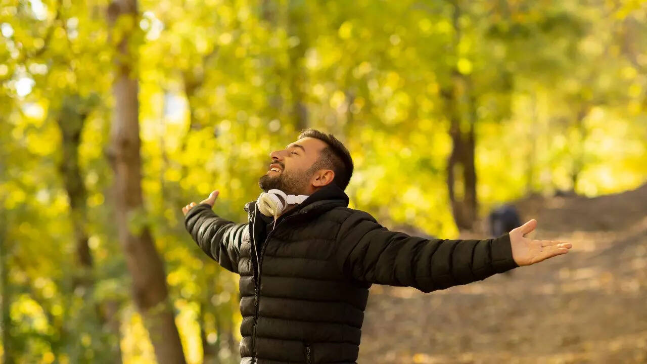 Msid 123615208imgsize 50364.cms .jpeg