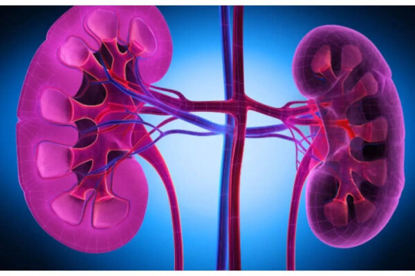 Msid 124251027imgsize 39248.cms .jpeg