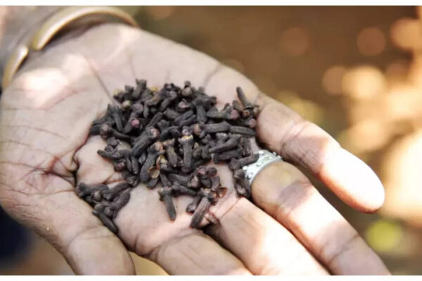 Msid 124404199imgsize 34718.cms .jpeg