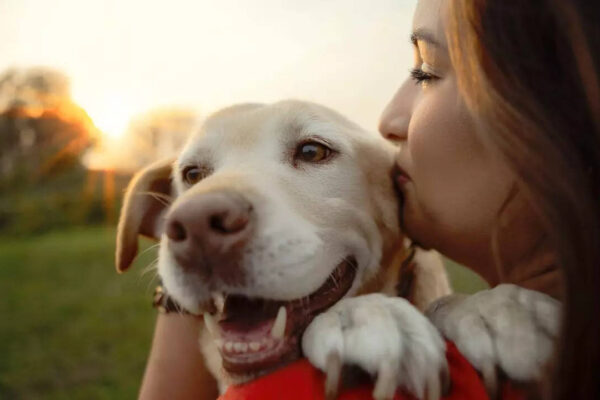 Msid 124597004imgsize 26160.cms .jpeg