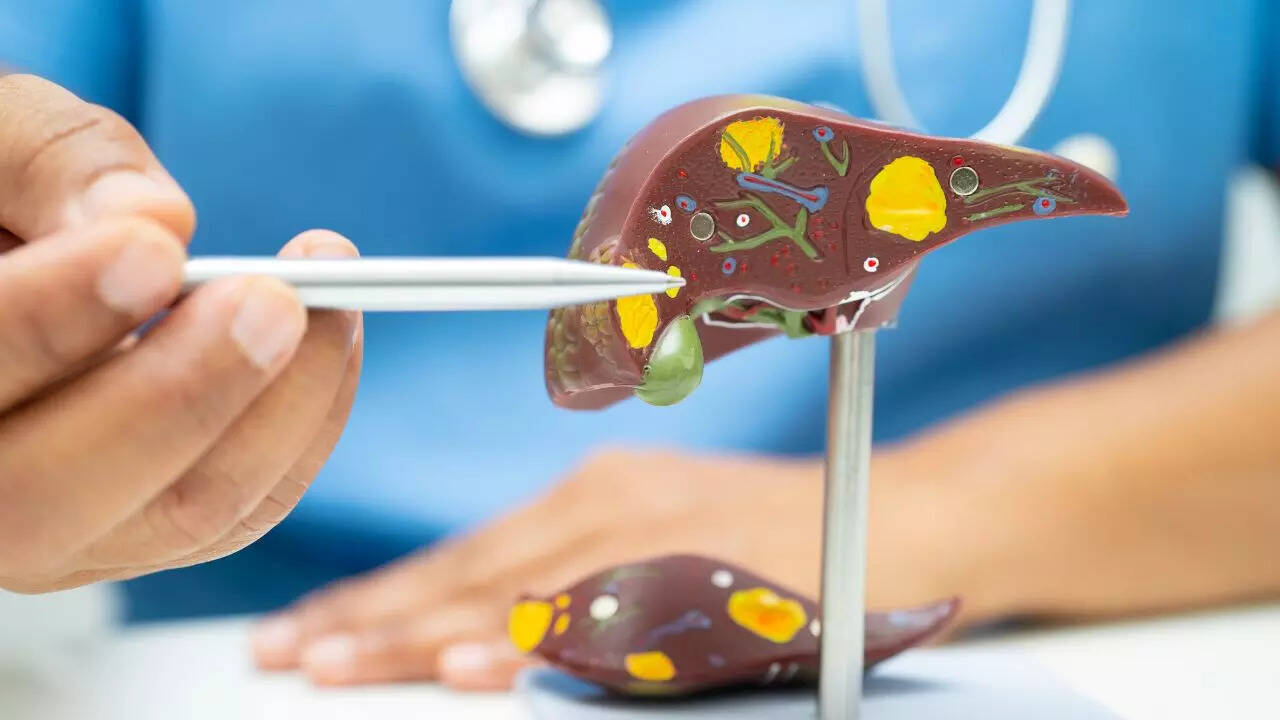 Msid 124682146imgsize 34790.cms .jpeg