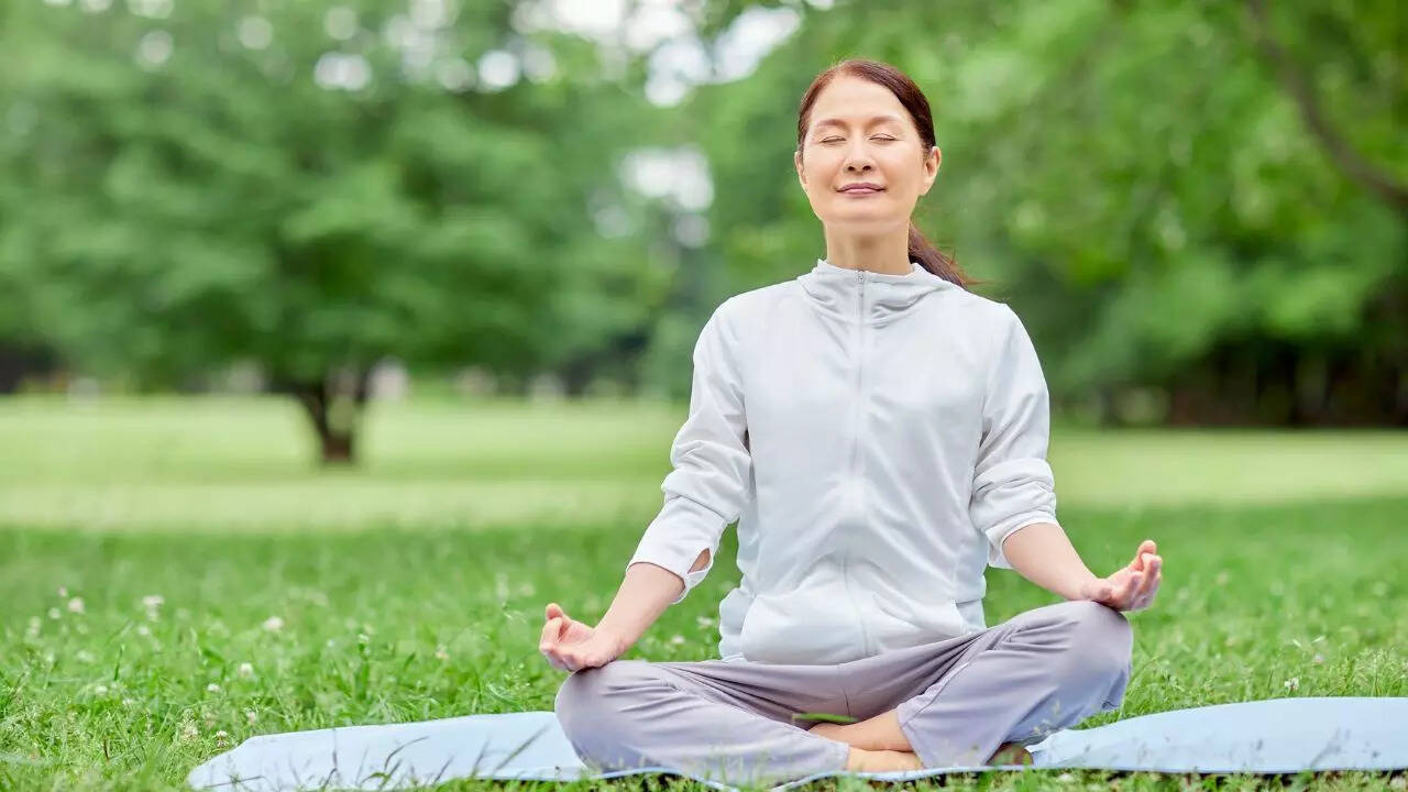 Msid 124741740imgsize 52252.cms .jpeg