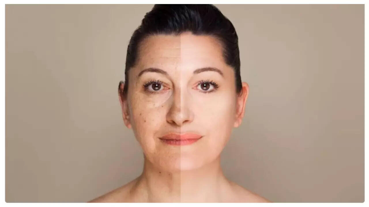 Msid 124752821imgsize 12516.cms .jpeg