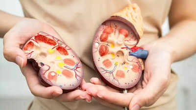 Recurrent utis a sign of kidney cancer silent symptoms hidden risks and when to see a doctor.jpg