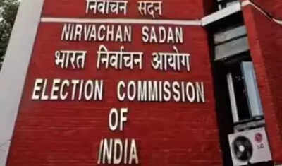 Sir work to commence in tn in a week eci tells hc.jpg