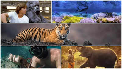 Top 5 wildlife documentaries for kids.jpg