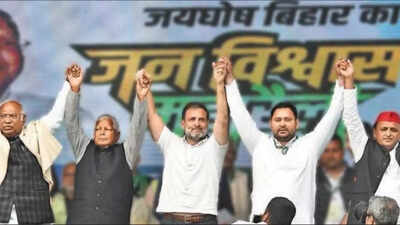 Untitled design 2025 10 15t040535568.jpg