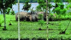 Untitled design 51.jpg