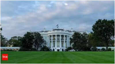 White house file image.jpg
