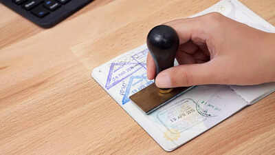 1762531849 unnamed file.jpg