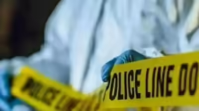 1762550282 untitled design 26.jpg