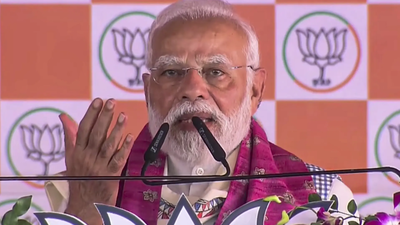 1762552782 untitled design 31.jpg