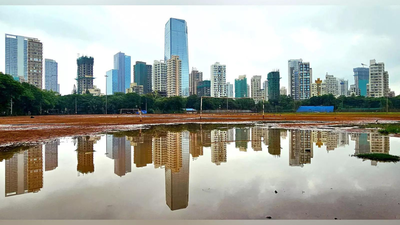 1762599238 untitled design 25.jpg