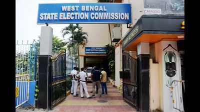 1762720068 pic 8.jpg