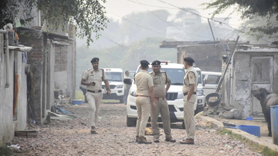 1762975881 unnamed file.jpg