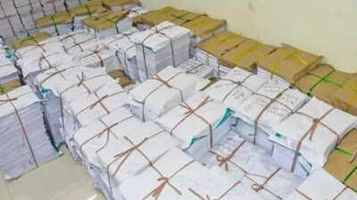 1763069807 unnamed file.jpg