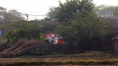 1763072936 unnamed file.jpg