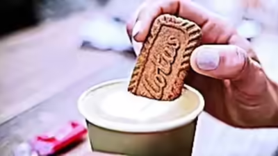 1763086844 untitled design 3.jpg