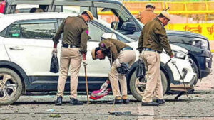 1763086918 unnamed file.jpg