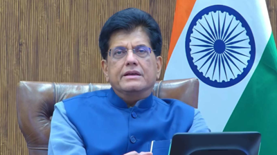 1763104085 piyush goyal.jpg