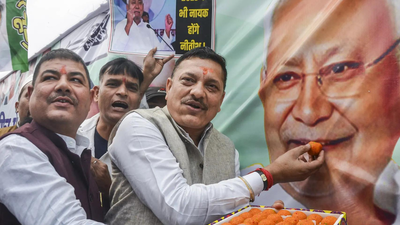 1763115919 unnamed file.jpg