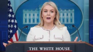 1763151562 unnamed file.jpg