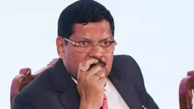 1763160785 unnamed file.jpg