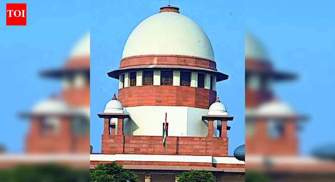 1763509987 photo.jpg