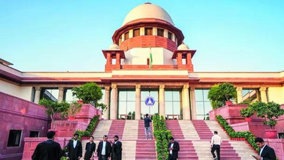 1763594669 unnamed file.jpg