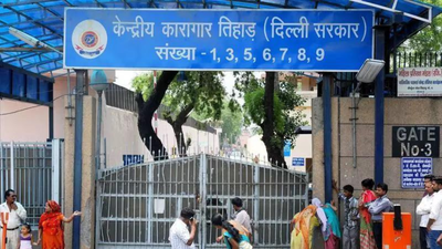 1763595291 unnamed file.jpg