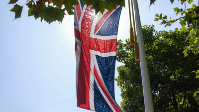 1763754233 representative image.jpg