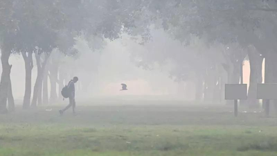 1763818678 unnamed file.jpg