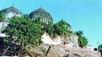 1763826885 unnamed file.jpg