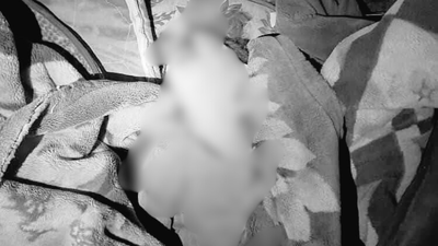 1764040821 unnamed file.jpg