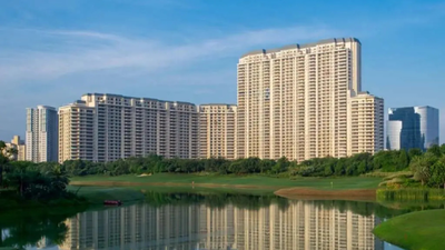 1764144428 unnamed file.jpg