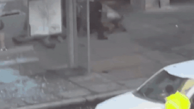 1764222349 unnamed file.jpg