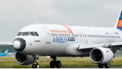 1764431691 article 29.jpg