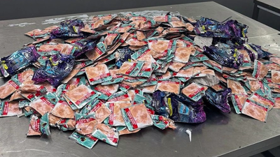 1764538332 unnamed file.jpg