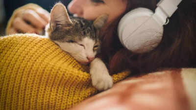 5 reasons why your cat sleeps on you and what it really means.jpg