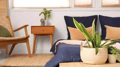 7 bedroom plants that naturally help you fall asleep faster.jpg