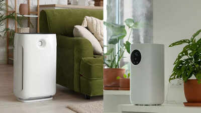 Air purifier vs humidifier what sets them apart and which one is best for indoor air quality.jpg