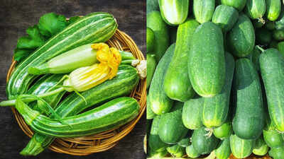 Cucumber vs zucchini key differences you should know in nutrition and taste.jpg