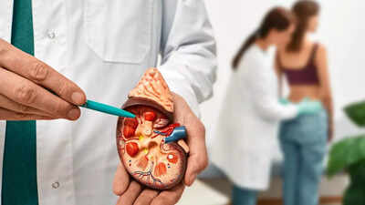 How diabetes and high blood pressure work together to damage your kidneys know the connection.jpg